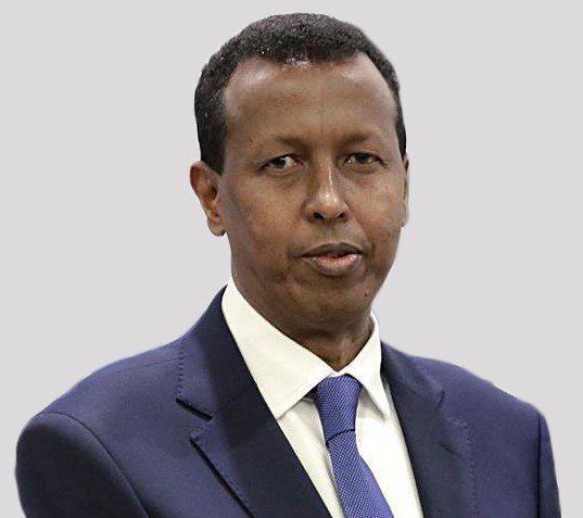 Yusuf Garaad Omar — diplomatic portrait